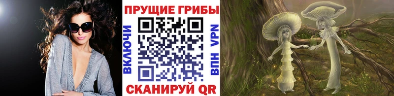 Псилоцибиновые грибы MAGIC MUSHROOMS  где купить наркоту  Бабаево 