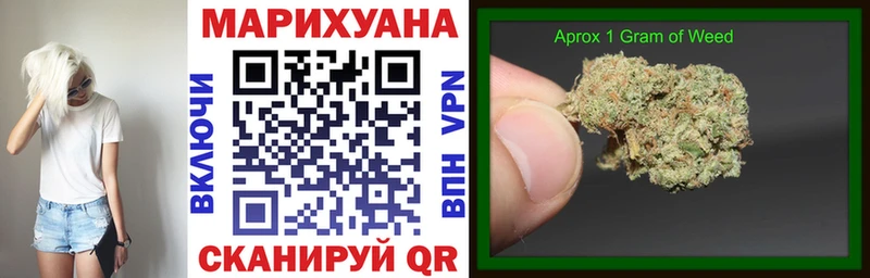 мега маркетплейс  shop телеграм  Бошки Шишки OG Kush  где найти   Бабаево 